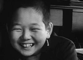 日本水俁病事件的影響 圖10