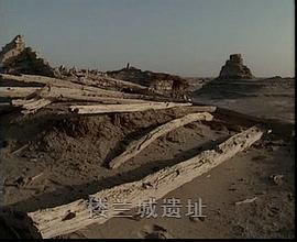 望長(zhǎng)城 圖5