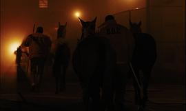 野馬 圖10