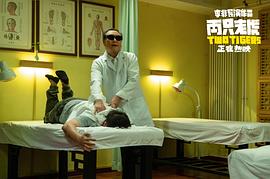 兩只老虎 圖5