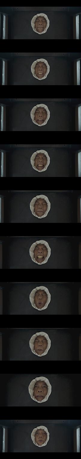 兩只老虎 圖7