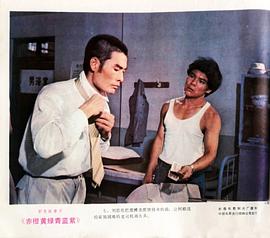 赤橙黃綠青藍紫 圖4