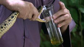 搏擊之王3 圖1