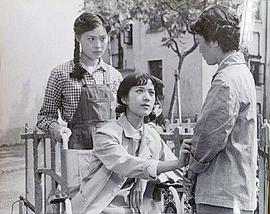 石榴花 圖5