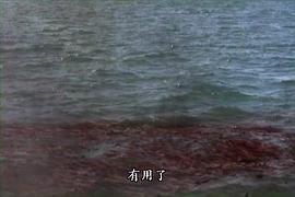 雙頭鯊來(lái)襲 圖5