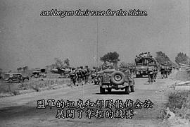 沙漠之狐 圖10