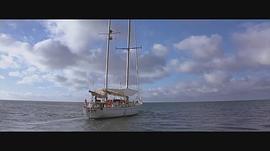 航越海平线电影 图4
