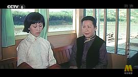 杜鹃声声 图10