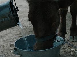 清水里的刀子 圖1