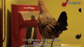 VICE電影指南 第一季 圖3