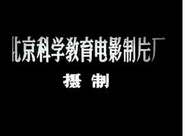 內(nèi)燃機 圖2