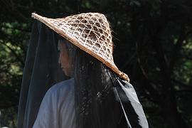 菊花臺 圖7