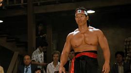 終極格斗2中文普通話版 圖9