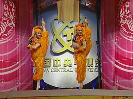 2002年中央电视台舂联欢晚会 图9