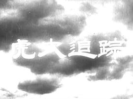 虎穴追蹤 圖1