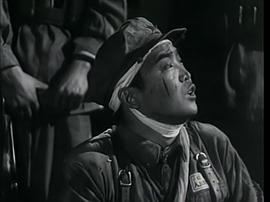 电影巜凤翔1949 图8