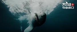 大浪白鲨 电影 图7