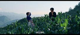 诺丫与彩奏 图4