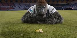 韩国大猩猩打棒球电影名字 图8