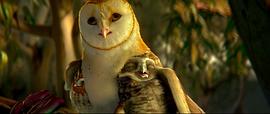猫头鹰王国:守卫者传奇 动画片 图10