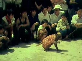 四個小伙伴 圖3