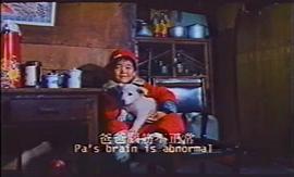 天下一大乐1988 图4