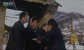 喜蓮 圖8