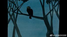 血色女人 圖7