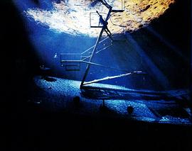 夜會 Vol.5 太息花色今更易 此身虛度春雨中 圖10
