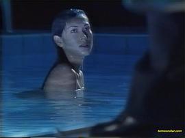 夜光蟲 圖3