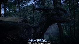 香港电影巫师的诅咒 图2