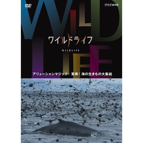 海洋的秘密：魔力阿留申群島