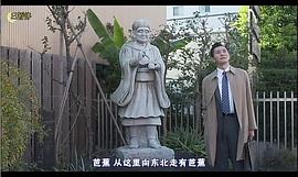 孤独的美食家黑胶 图7