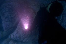 章魚東河驚魂 圖5