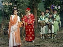 歡天喜地七仙女CCTV節(jié)目官網(wǎng) 圖4