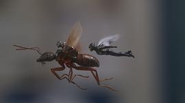蚁人2：黄蜂女现身 图3