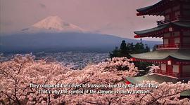 关于日本海啸的电影 图9