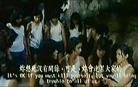 千火玫瑰 圖3