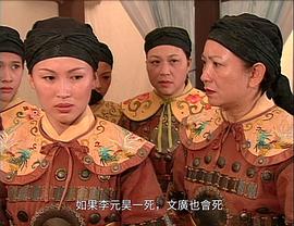 穆桂英之十二寡妇征西 图5