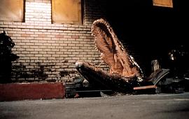 小时候看的一个鳄鱼的电影 图3