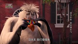 逗鳥外傳：萌寶滿天飛 圖9