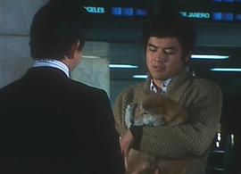 血疑6 圖8