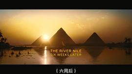 尼罗河上的惨案中国版 图7