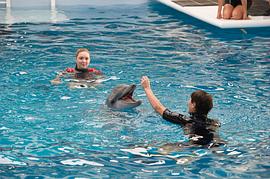 海豚的故事1免费观看西瓜 图8