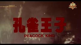 孔雀王子 圖1
