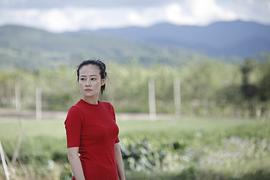 咖啡風暴 圖7