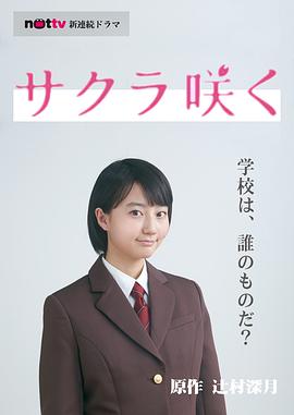 櫻花綻放 圖5