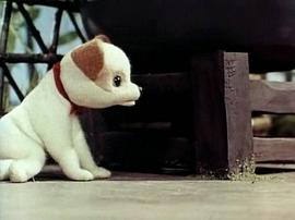 喵嗚是誰(shuí)叫的？ 圖7