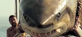 深海狂鲨 图9