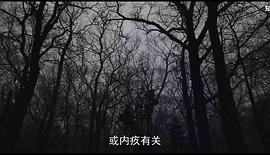 狗心 圖1